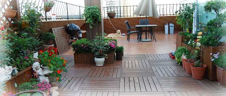 ����ľ�ذ�